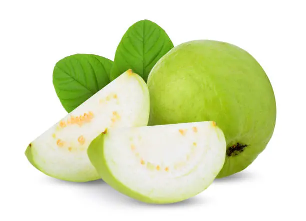 Guava.webp