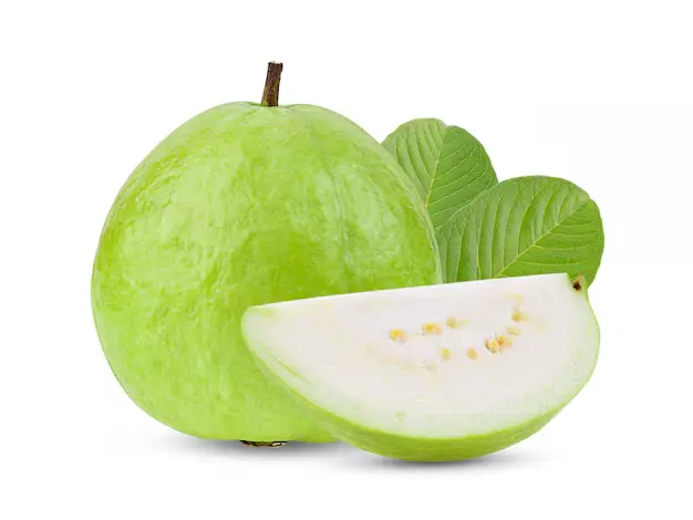 Organic Guava Fruit  