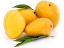 Banganapalle Mangoes (Natural) – 1kgs & 3kg & 5kg Packs