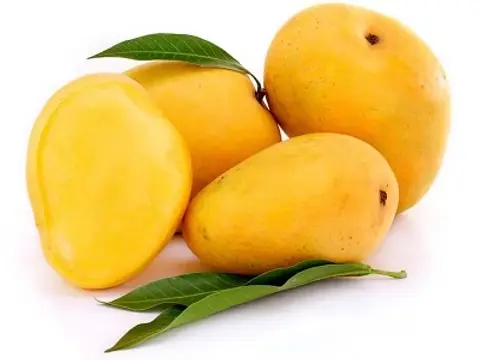 Banganapalle Mangoes (Natural) – 1kgs & 3kg & 5kg Packs